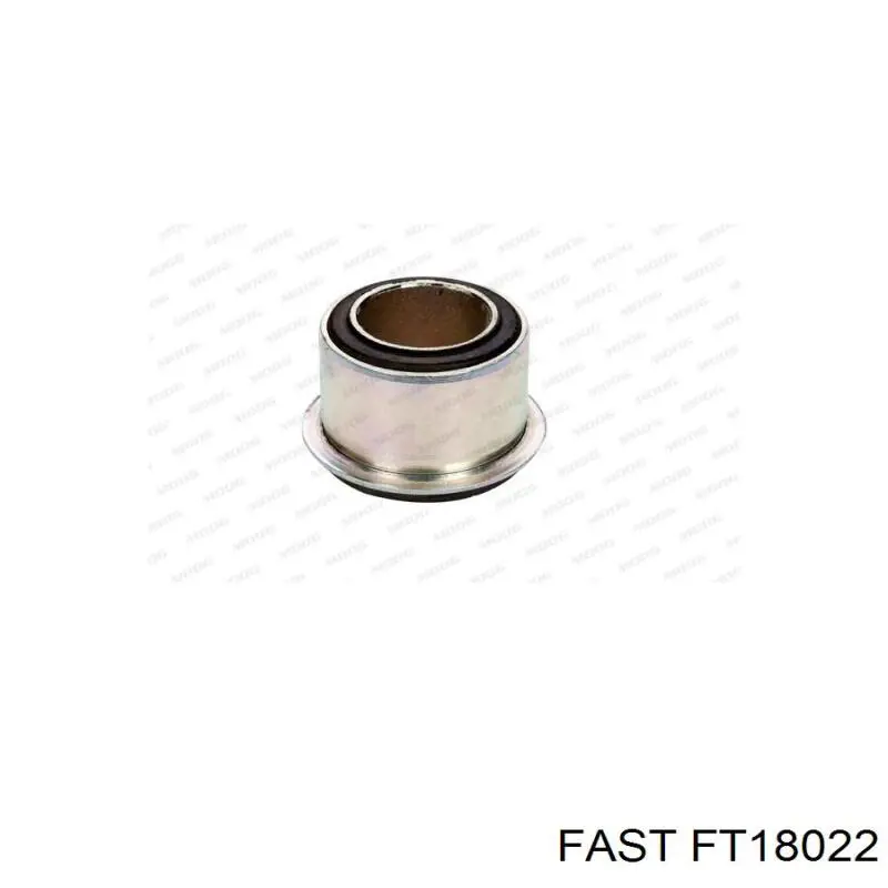 FT18022 Fast