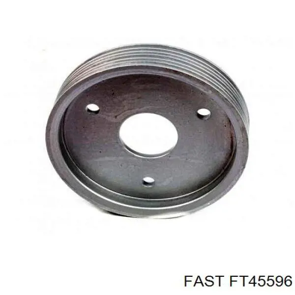 Шкив лопастного насоса гидроусилителя руля Fast FT45596 цена, от 35.90 USD