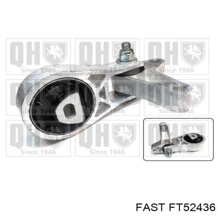 FT52436 Fast coxim (suporte traseiro de motor)