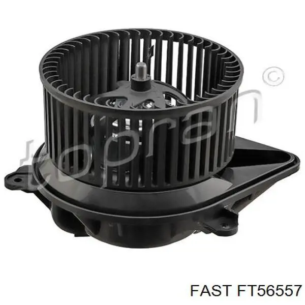 FT56557 Fast motor de ventilador de forno (de aquecedor de salão)