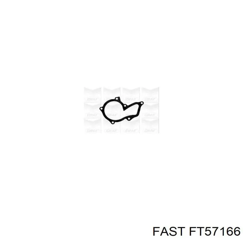 Купить FT57166 Fast Насос охлаждения