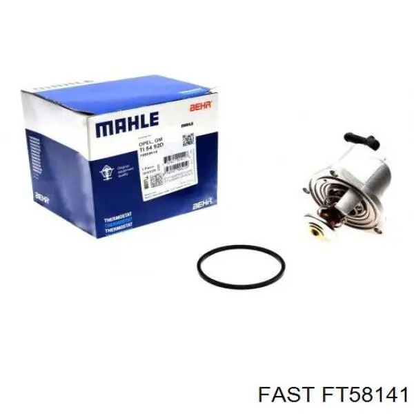 Купить FT58141 Fast Автомобильный термостат
