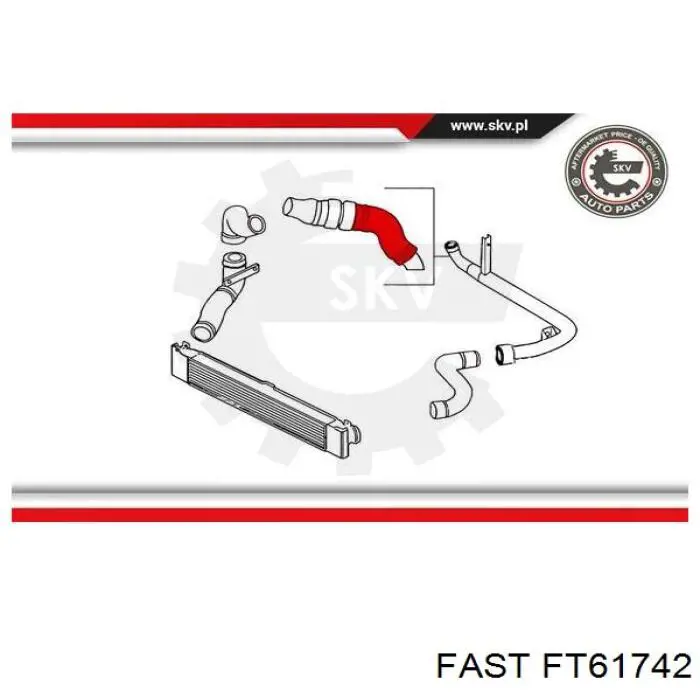 Tubo flexible de aire de sobrealimentación, a turbina FT61742 Fast