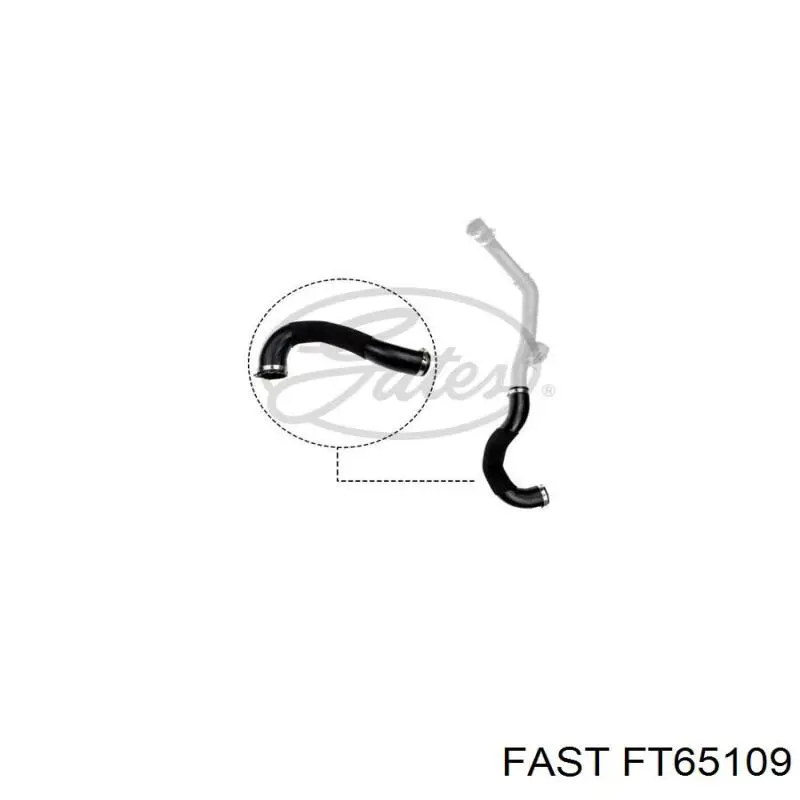 FT65109 Fast mangueira (cano derivado inferior esquerda de intercooler)