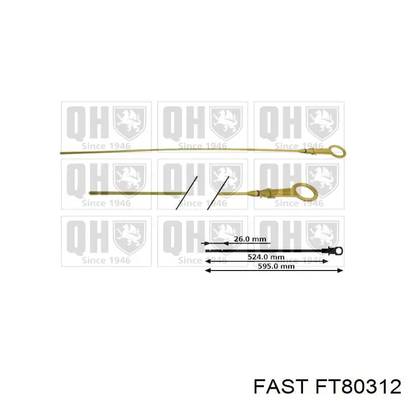 FT80312 Fast щуп (индикатор уровня масла в двигателе)