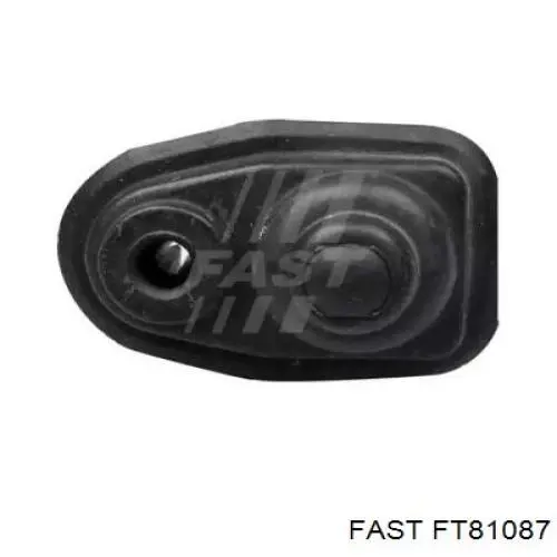 Купить FT81087 Fast 
