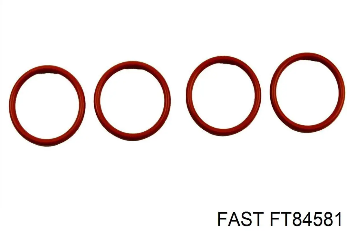 Прокладка турбины выхлопных газов, выпуск Fast FT84581 цена, от 1.87 USD