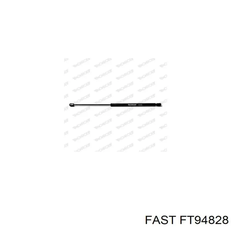 Амортизатор задней двери Fast FT94828 цена, от 9.45 USD