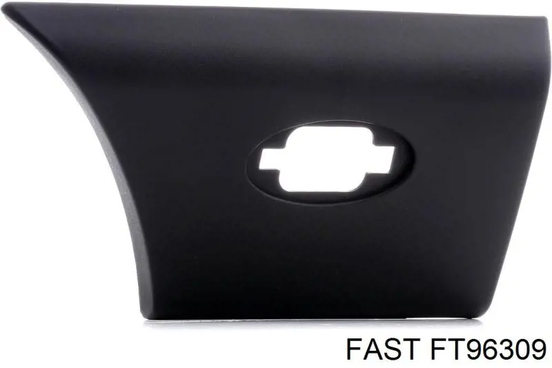 FT96309 Fast cápsula (prendedor de fixação de revestimento da porta)