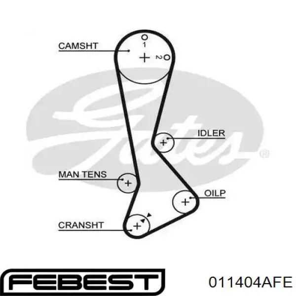 ГРМ ремни Febest 011404AFE