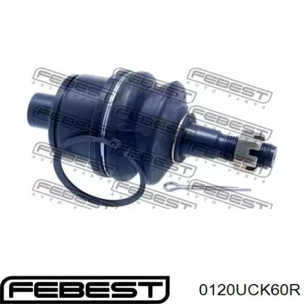 Шаровая опора задней подвески нижняя 0120UCK60R Febest