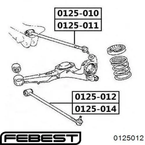 Купить 0125012 Febest Рычаг задней подвески нижний правый