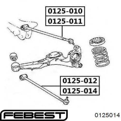 Brazo suspension (control) trasero inferior izquierdo 0125014 Febest