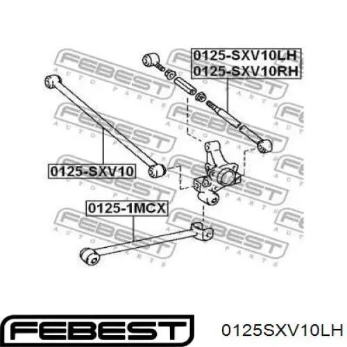Купить 0125SXV10LH Febest Тяга поперечная задней подвески