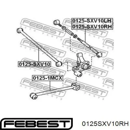 Купить 0125SXV10RH Febest Рычаг задней подвески поперечный правый