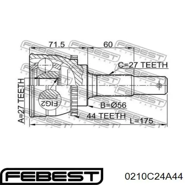 ШРУС наружный передний 0210C24A44 Febest