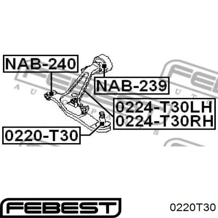 Нижняя шаровая опора Febest 0220T30
