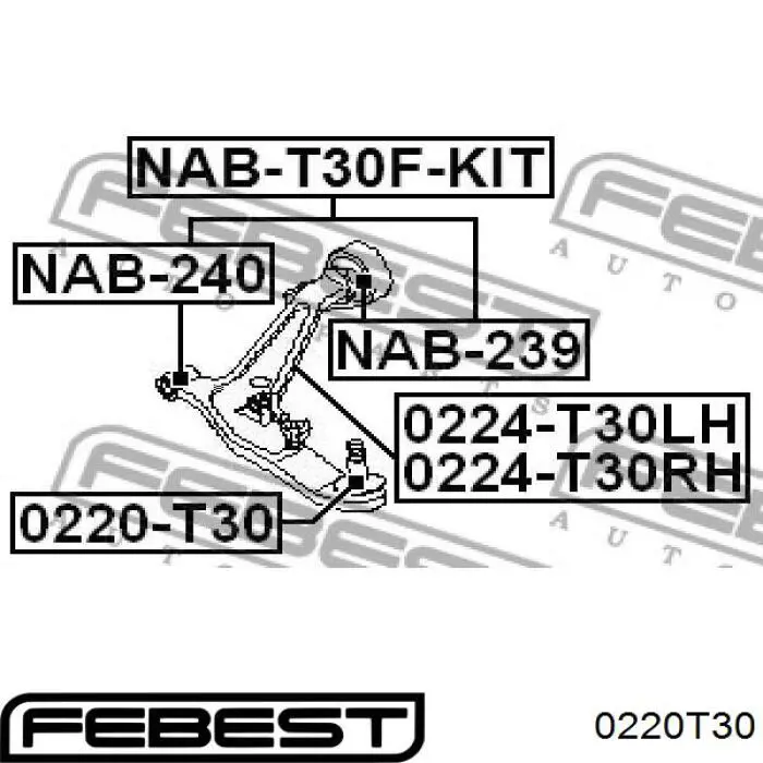 Шаровая опора, нижняя Febest 0220T30 цена, от 26.00 USD