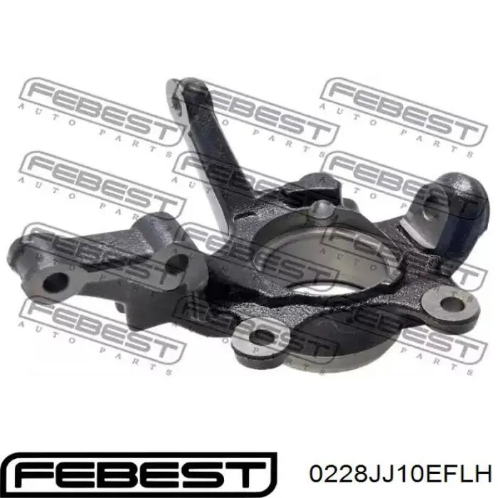 Цапфа передняя левая 0228JJ10EFLH Febest