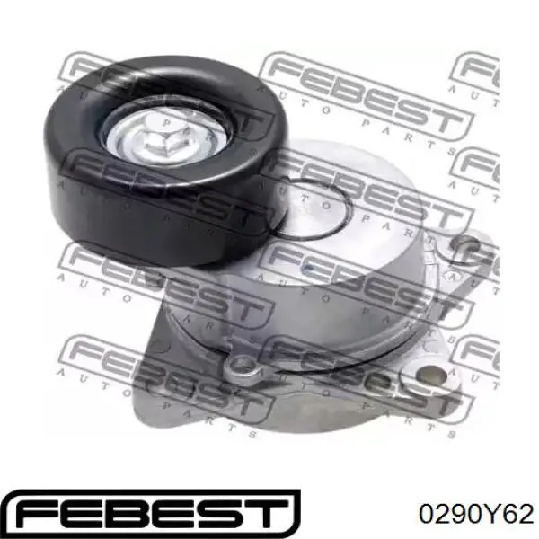 Роликовий модуль натяжителя ремня Febest 0290Y62 цена, от 53.68 USD