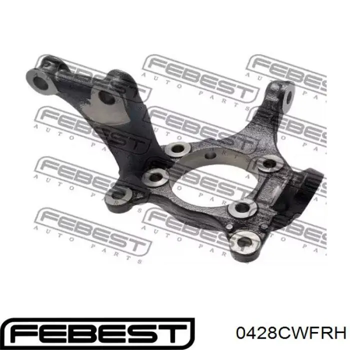 Цапфа передняя правая 0428CWFRH Febest