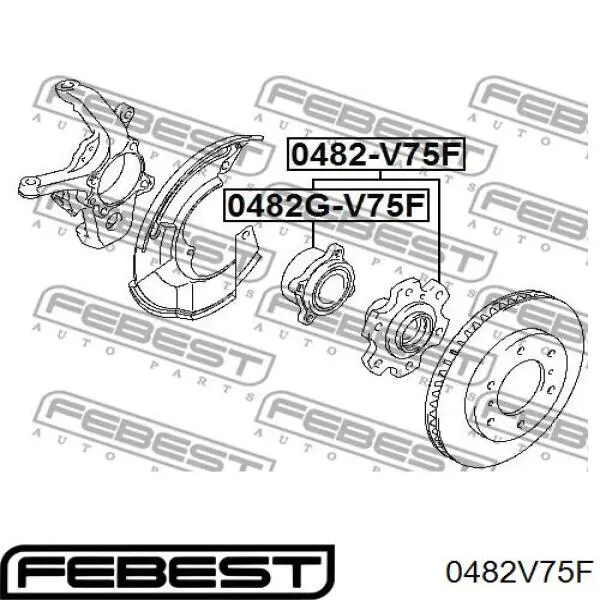 Купить 0482V75F Febest Ступица переднего колеса