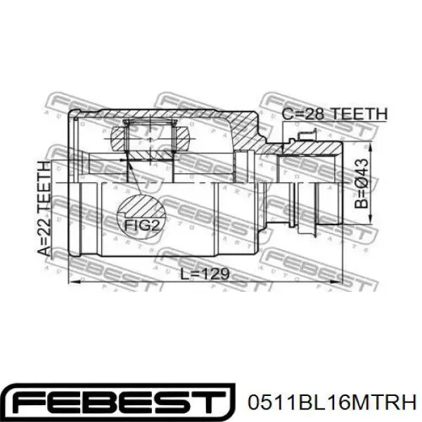 Купить 0511BL16MTRH Febest Шарнир угловых скоростей передний правый