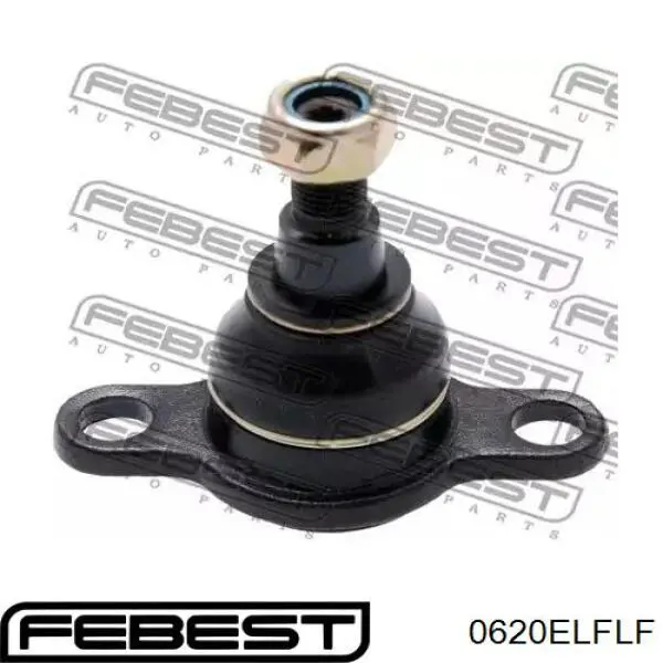 Купить 0620ELFLF Febest Нижняя шаровая опора