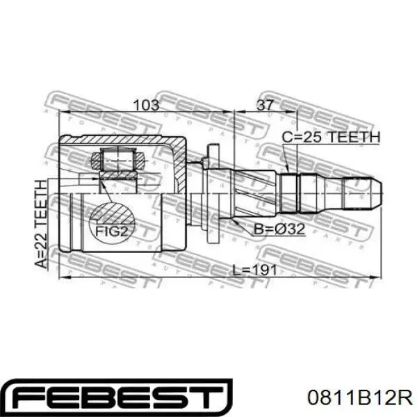 0811-B12R Febest junta homocinética interna traseira