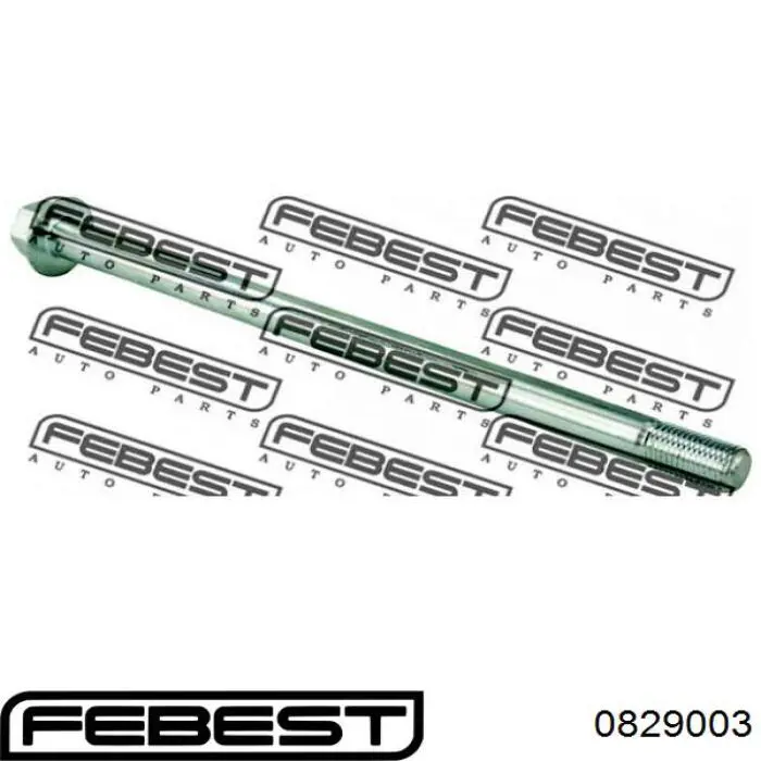 Купить 0829003 Febest Болт крепления заднего развального рычага, наружный