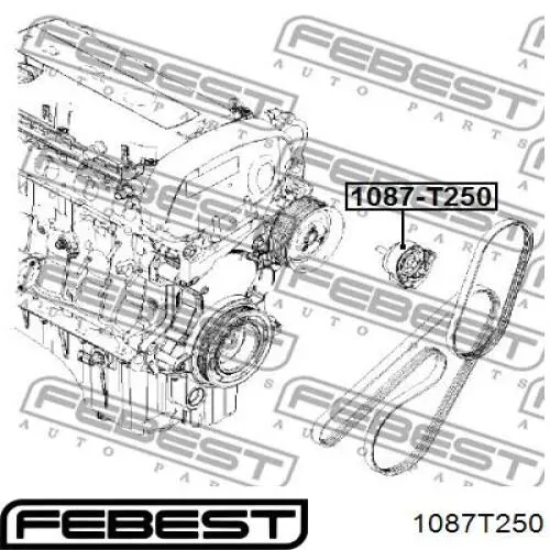 Купить 1087T250 Febest Натяжной ролик