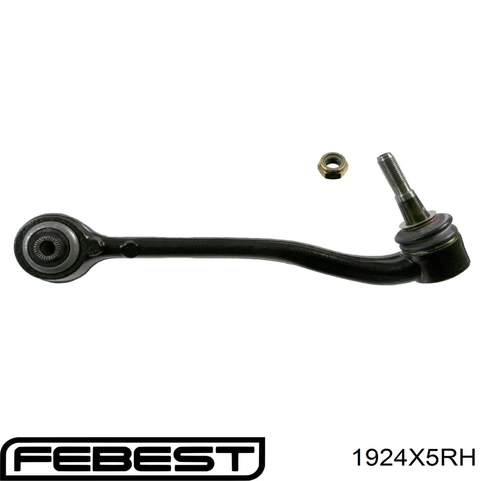 Нижний рычаг 1924X5RH Febest
