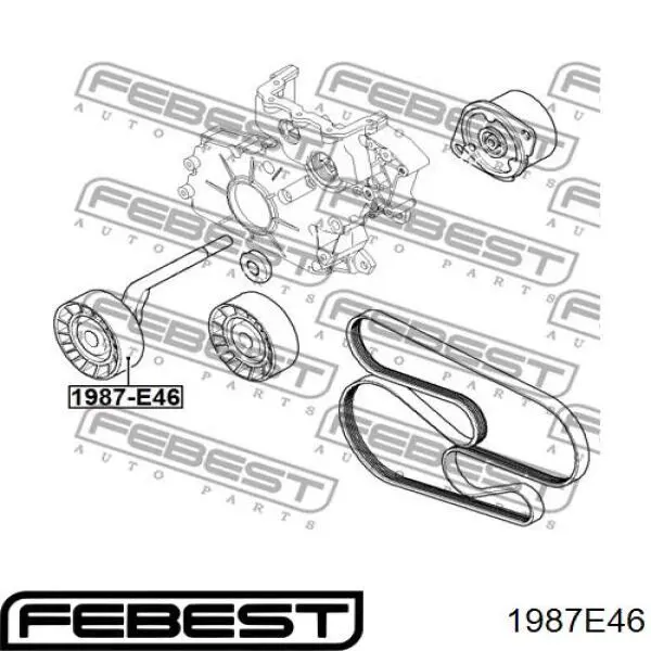 Купить 1987E46 Febest Натяжной ролик