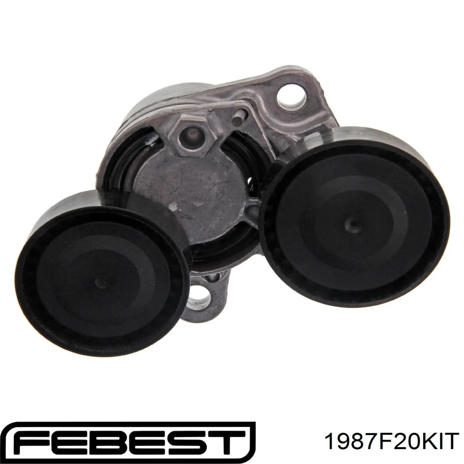 Натяжной ролик 1987F20KIT Febest