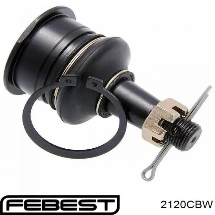 Купить 2120CBW Febest Нижняя шаровая опора