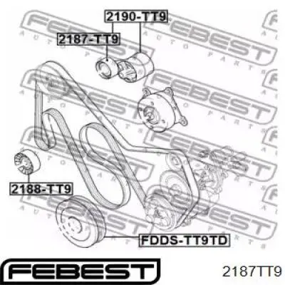 FT44623 Fast Ролик натяжителя ремня агрегатов