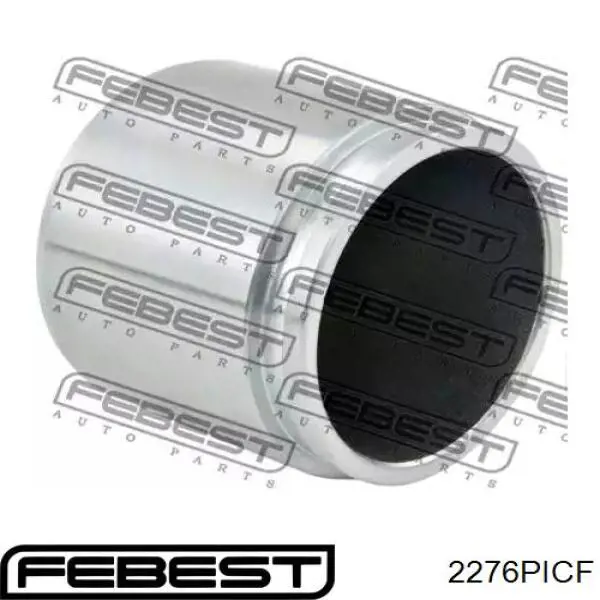  2276PICF Febest