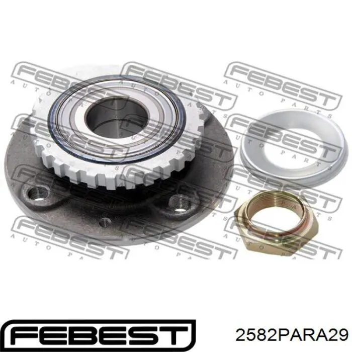 2582PARA29 Febest