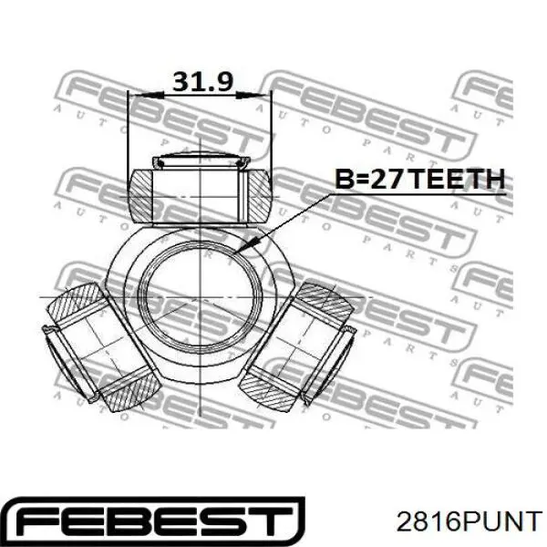 2816PUNT Febest 