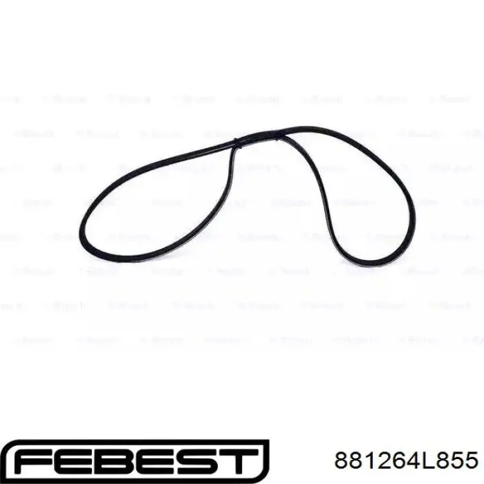 881264L855 Febest