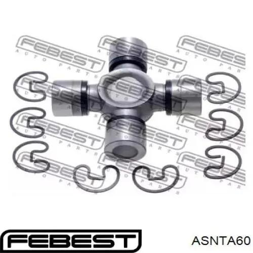 ASNTA60 Febest