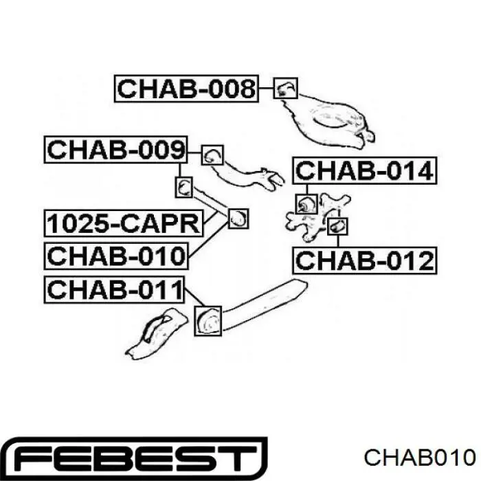 CHAB010 Febest