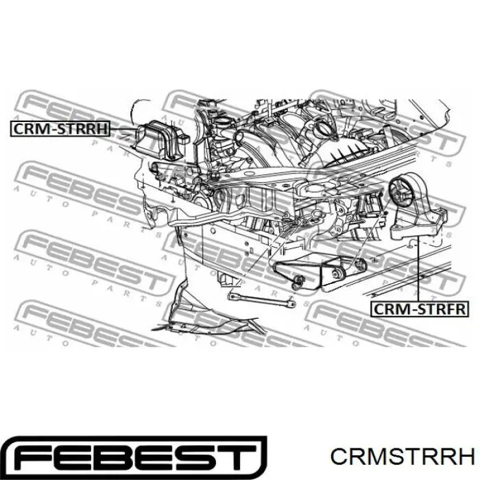 CRMSTRRH Febest подушка (опора двигателя правая)