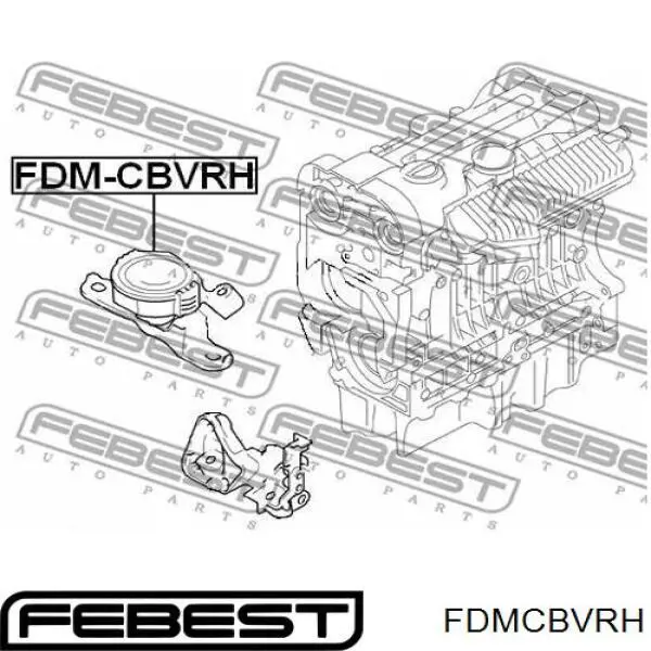 FDMCBVRH Febest coxim (suporte direito de motor)