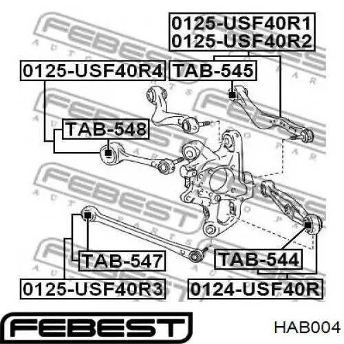 Сайлентблок заднего нижнего рычага HAB004 Febest