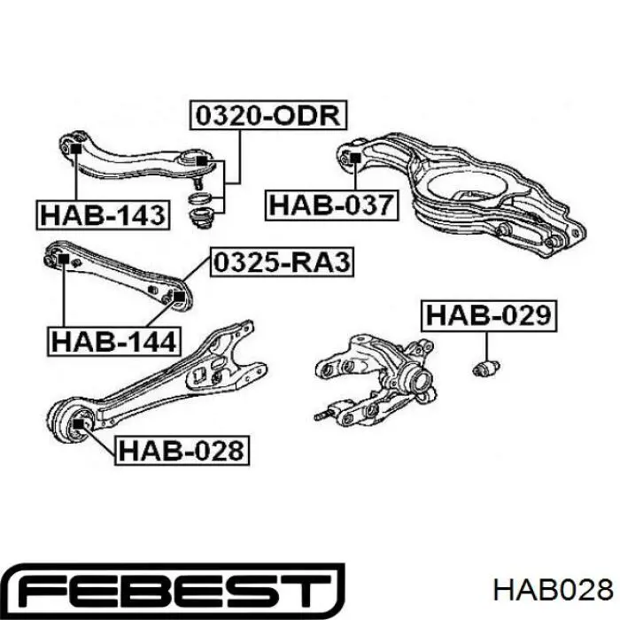 HAB-028 Febest сайлентблок заднего продольного рычага передний