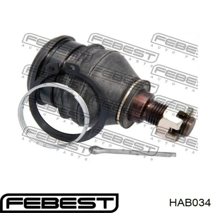 Купить HAB034 Febest Сайлентблок нижний передней подвески