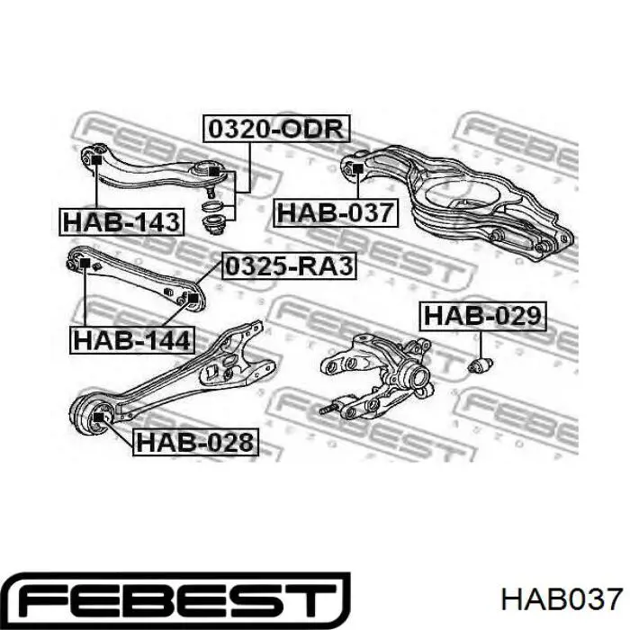 Сайлентблок поперечного заднего рычага Febest HAB037