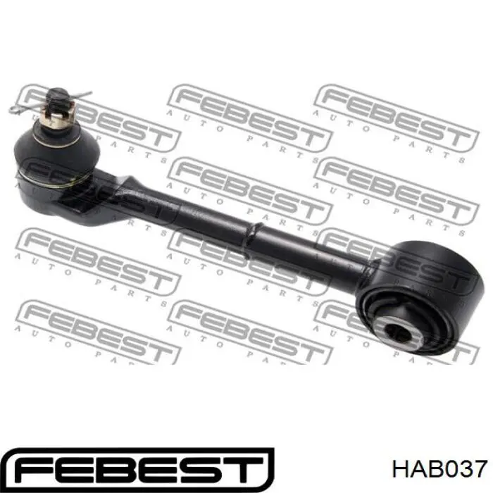 HAB037 Febest Сайлентблок заднего поперечного рычага