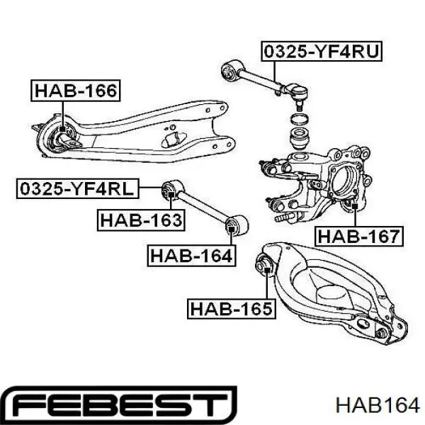 Купить HAB164 Febest Сайлентблок заднего поперечного рычага наружный